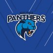 Barrow Raiders v Halifax Panthers image
