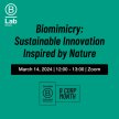 Biomimicry: Sustainable Innovation Inspired by Nature image