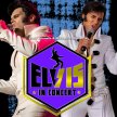 Cote Deonath & Michael Cullipher Elvis In Concert - Van Buran image