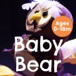 Baby Bear 0 - 18 months image
