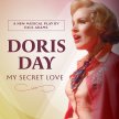 Doris Day: My Secret Love image