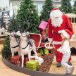 Santa's Grotto - Hospice Christmas Fair image
