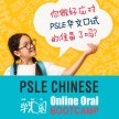 PSLE Chinese Online Oral Bootcamp [Non-MS] image