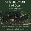 Great Backyard Bird Count image
