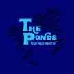 The Ponds image