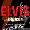 Elvis The Icon image