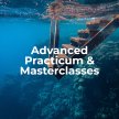 3D Advanced Practicum: Listens Actively (6) image
