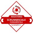Registered Scrum@Scale Fundamentals image