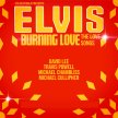 Elvis Burning Love image