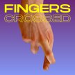 Fingers Crossed image