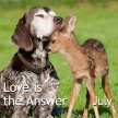 Love is the Answer, Tuesdays image
