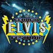 The Georgia Elvis Festival Weekend-Passes image