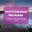 Surf & Seaweed Workshop image