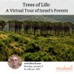 Trees of Life: A Virtual Tour of Israel’s Forests image