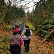 Fall Hiking Group - Week 4 image