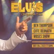 Elvis The Memphis Flash image