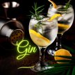 Gin Tasting Experience image