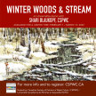 Winter Woods & Stream - an ONLINE watercolour demo with Shari Blaukopf, CSPWC image