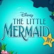 The Little Mermaid Junior image