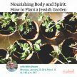 Nourishing Body and Spirit: How to Plant a Jewish Garden image