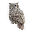 World Owl Conference image