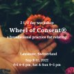 Wheel of Consent® - Lausanne image