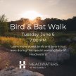 Bird and Bat Walk image
