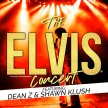 The Elvis Concert image