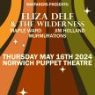 Eliza Delf & The Wilderness + Maple Ward + Jim Holland + Murmurations image