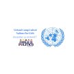 Virtual Camp United Nations for Girls image