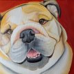 Paint Babydog - Three Hour Paint Your Pet Style Experience image