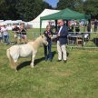 Countess of Warwick Country Show 2022 image