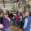 Brewery Tour & Tasting image