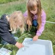 Valentines Park Bug Detectives - 8 to 12 years image