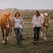 COMBO ONLINE/IN-PERSON EQUINE ASSISTED LEARNING CERTIFICATION - CDN image