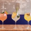 Flavoured Gin Making & Tasting Leicester image