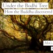 Under the Bodhi Tree - How the Buddha Discovered Awakening image