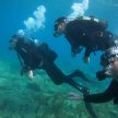 Scuba Diving - Adventure Week 2024 image
