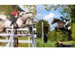 The British Horse Society Ireland Adult Camp  at Castle Irvine Equestrian Centre image