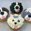 Pupcakes! Fondant and Piping Cupcakes image