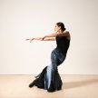 Flamenco Workshop with Lindsey Bourassa image