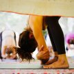 Yoga & Embodied Movement Teacher Training image