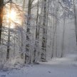 Winter Solstice - Zoom image