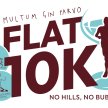 Flat 10k Gin Fun Run image