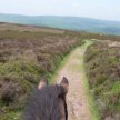 Ride Out UK Longmynd Guided Ride image