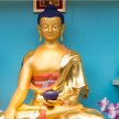 Introduction to Buddhism image