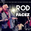 The Rod Stewart Experience image