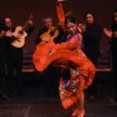 Tablao Flamenco image