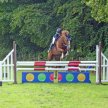Show Jumping at Castlefields image