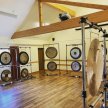 Introductory/Gong Practitioner Training Level One image
